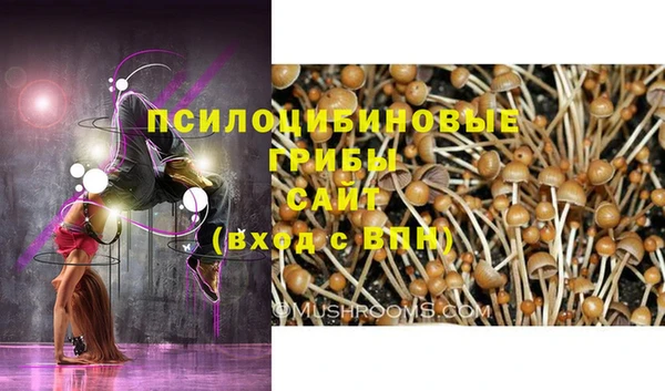 амф Нягань