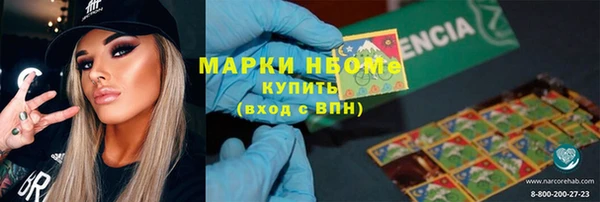 индика Няндома
