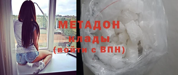 индика Няндома