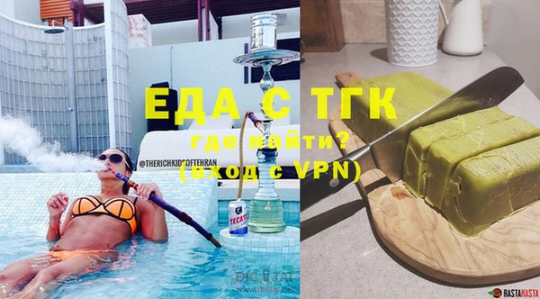 индика Няндома