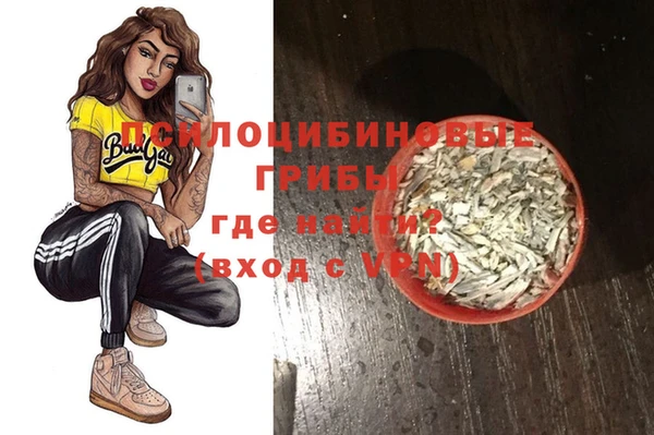 сатива Осинники