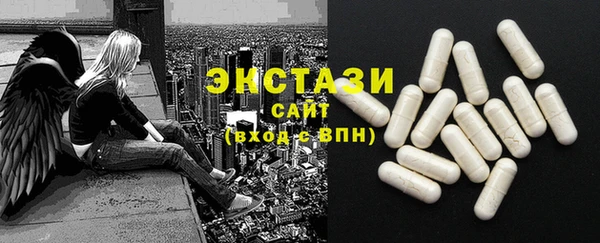 индика Няндома