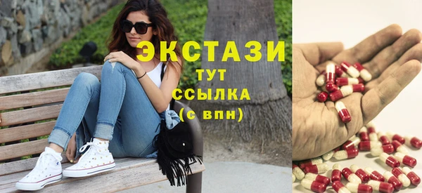 индика Няндома