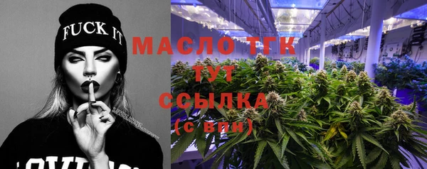сатива Осинники