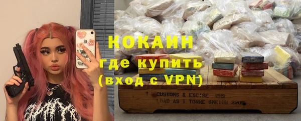 индика Няндома