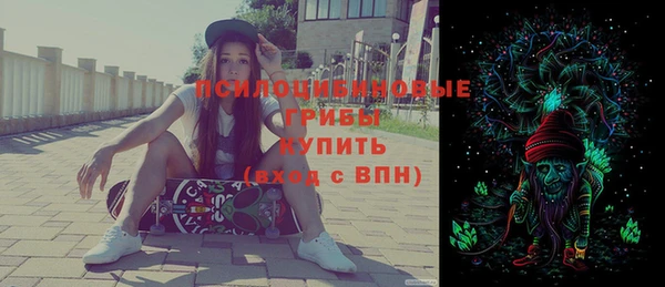 сатива Осинники
