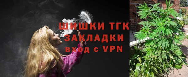 сатива Осинники